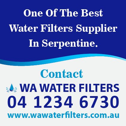 The Best Water Filters Serpentine The Best Under Sink