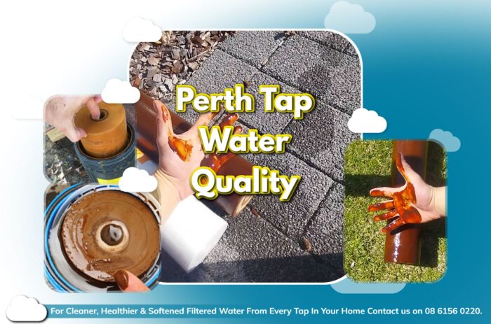 Perth Tap Water Quality
