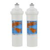 BWT RO300 Pre and Post Carbon Replacement Filters