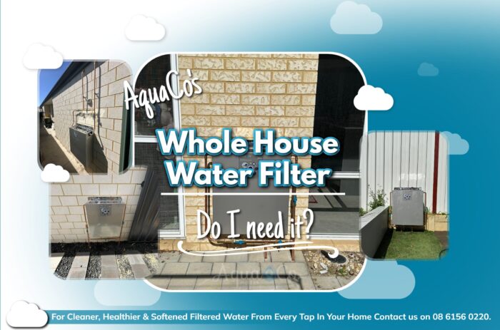 Do I need a whole house water filter
