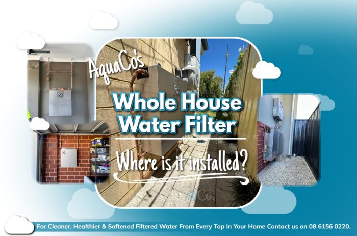 Where is the whole house water filter installed